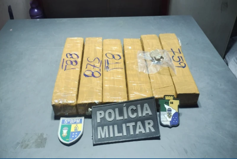 Polícia apreende cerca de 5 kg de maconha em transportadora na BR 235