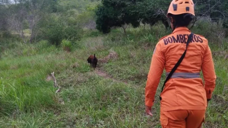 Bombeiros retomam buscas por idoso desaparecido em área de mata em Itabaiana