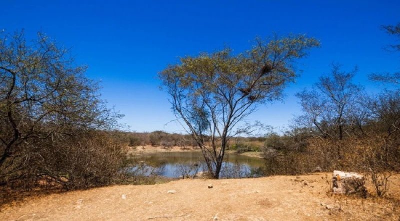 Nossa Senhora Aparecida tem situação de emergência reconhecida por causa da estiagem