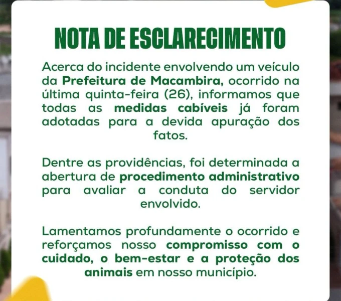Prefeitura de Macambira emite nota após caso de cachorro atropelado
