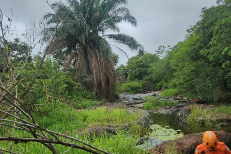 Idoso desaparecido é encontrado com vida em mata de Itabaiana